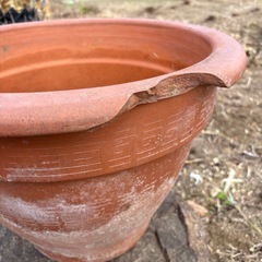 大きな鉢(縁にカケ有り)の画像