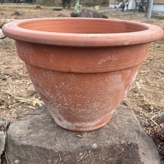 大きな鉢(縁にカケ有り)の画像