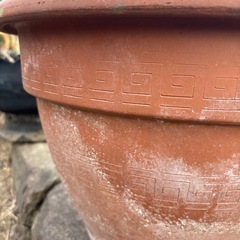 大きな鉢(縁にカケ有り)の画像