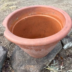 大きな鉢(縁にカケ有り)の画像