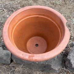 大きな鉢(縁にカケ有り)の画像