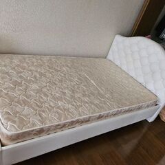 無料ですの画像