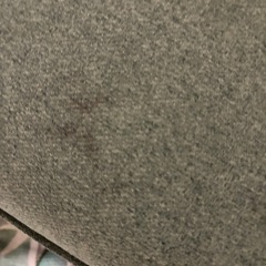 ニトリコンパクトソファー 2人がけの画像