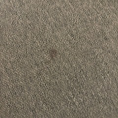 ニトリコンパクトソファー 2人がけの画像