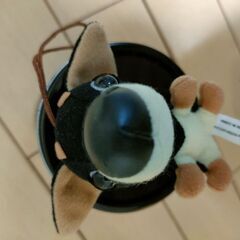 ★THE DOGマスコット付缶バンク未使用 イヌの画像