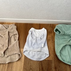 わんちゃん服　Lサイズの画像