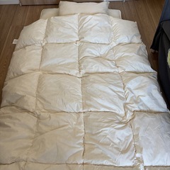 ニトリフェザー100%布団3点セット(カバー付き)の画像