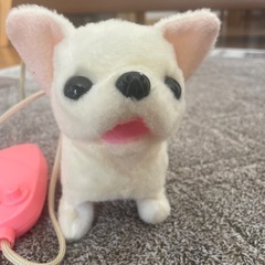 鳴いて歩いてシッポふるチワワの画像