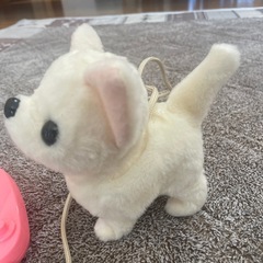 鳴いて歩いてシッポふるチワワの画像