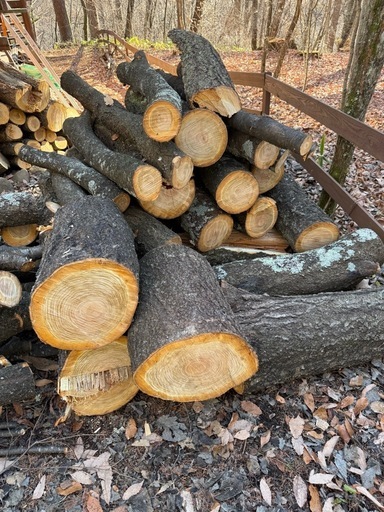 薪原木 薪ストーブ薪原木桜 (sato) 茅野のその他の中古あげます・譲ります
