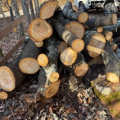 薪ストーブ　薪　原木　桜の画像