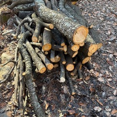 薪ストーブ　薪　原木　桜の画像