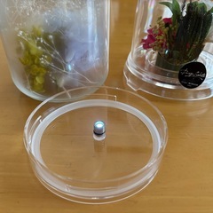 ブリザードフラワー2個セット①の画像