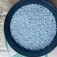 もち米（マンゲツモチ）　玄米30kg の画像