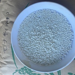 もち米（マンゲツモチ）　玄米30kg の画像