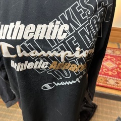チャンピオン160 Tシャツしっかりした作りの画像