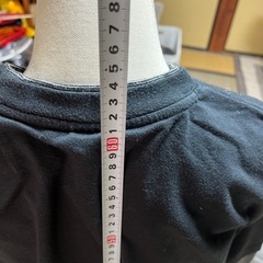 チャンピオン160 Tシャツしっかりした作りの画像