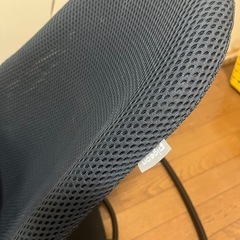 バウンサー ウギー Wuggy pigeon ピジョン の画像