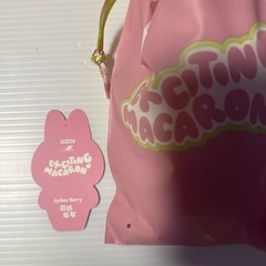 ラブブ　マカロンシリーズ　Lychee Berryの画像
