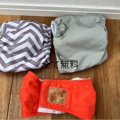 わんちゃん服の画像