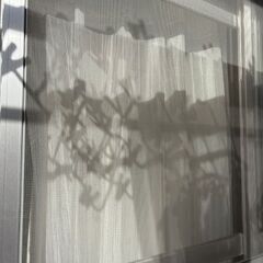 大阪府営住宅　網戸　美品　引き取りのみ　185×87①の画像