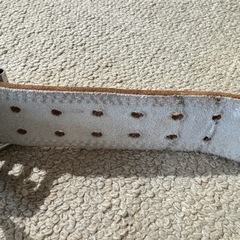 GOLDGYM トレーニングベルト　Mサイズの画像