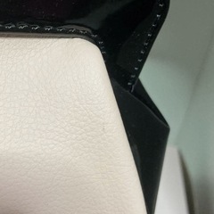 ロベルタ カリーナ ポーチ Roberta di Camerino ナガセ 非売品の画像