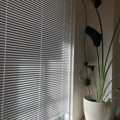 突っ張り式アルミブラインド　の画像