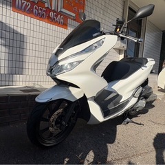 ★29万円　 PCX125 セル1 実動車　JF81 HONDA ホンダ PCX 程度良好の画像