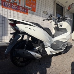 ★29万円　 PCX125 セル1 実動車　JF81 HONDA ホンダ PCX 程度良好の画像