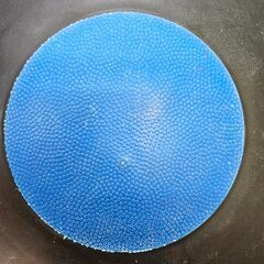 バランスディスク 体幹トレーニング コアトレ 安定性向上 美姿勢 フィットネスの画像