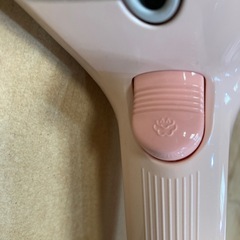 ブラシスチーマーの画像