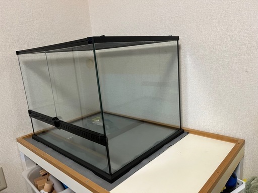 ハリネズミ、爬虫類ゲージ