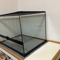 ハリネズミ、爬虫類ゲージ
の画像