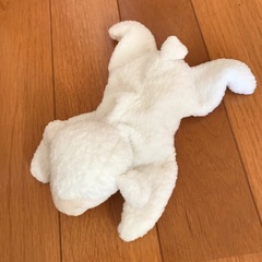 ぬいぐるみの画像