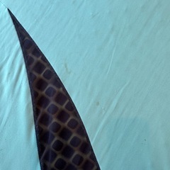 西川エアーポータブルの画像