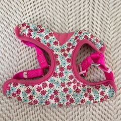 わんちゃんリードの画像