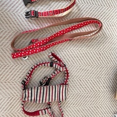 わんちゃんリードの画像