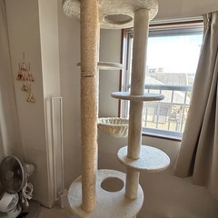 キャットタワー　Mauの画像