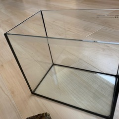 【アクアリウム】小型水槽、石、掃除ヘラの画像