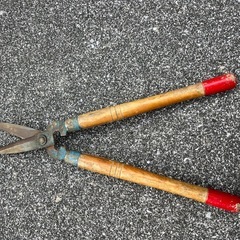 剪定バサミ　中古の画像