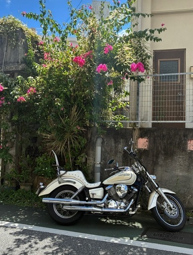 バイク YAMAHA dragstar250250