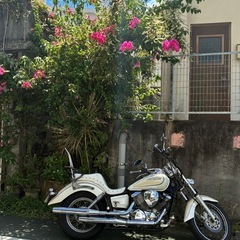 YAMAHA dragstar250250の画像