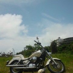 YAMAHA dragstar250250の画像