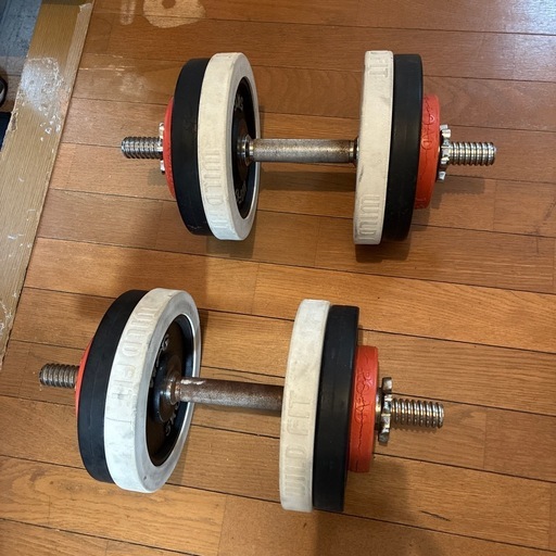 ダンベル片手25kg (りんごちゃん) 矢向のフィットネス、トレーニングの