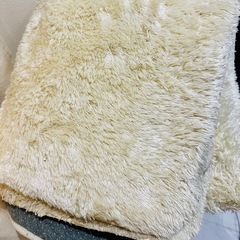 カーペットの画像