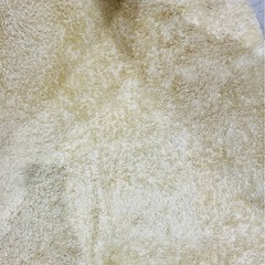 カーペットの画像