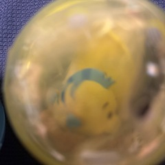 ガチャガチャ２つの画像