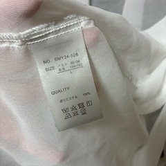 シースルーシャツＬサイズの画像