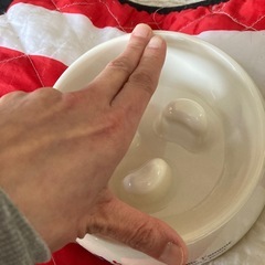 犬　フードボール　早食い防止の画像
